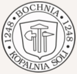 kopalnia soli bochnia babygo.pl